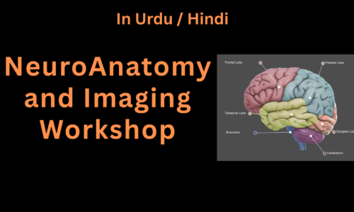 Neuro Anatomy and Imaging Workshop
